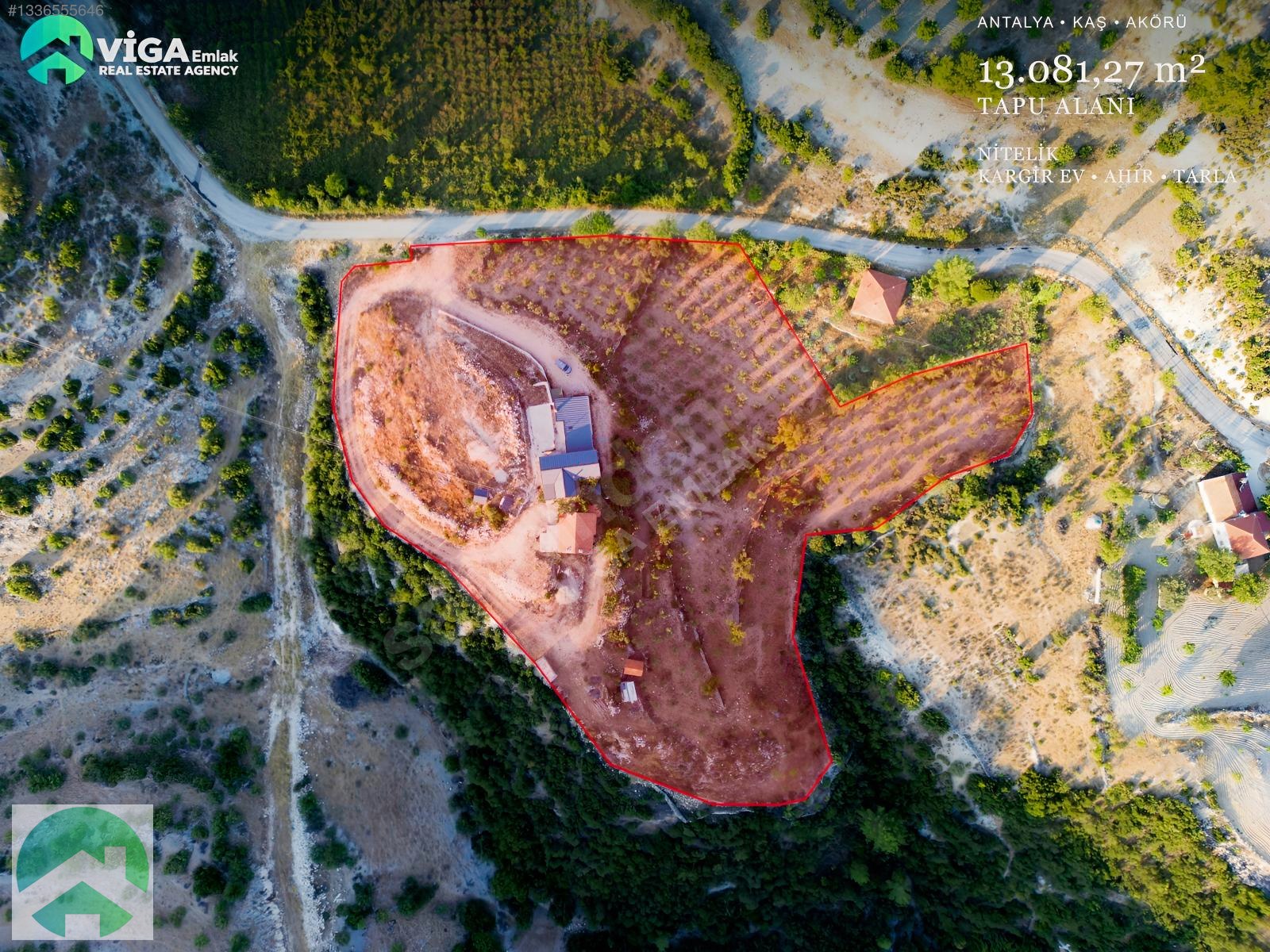 KAŞ'TA 13 DÖNÜM | 2 EV 400 ZEYTİN BAĞ BADEM SU ALTYAPISI